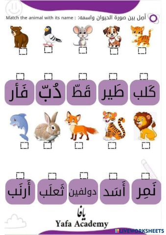 Arabic Quiz 2