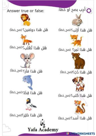 Arabic Animals