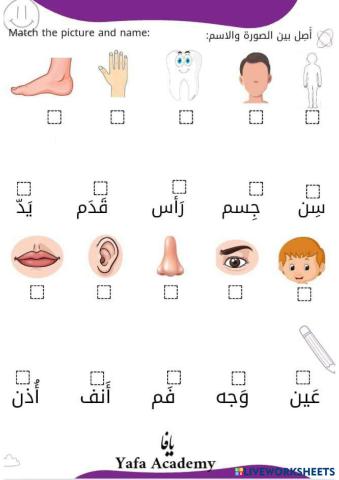 Human Body Parts